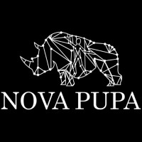 Nova Pupa Nano Influencer Agency logo - Similar company to Hellosparkle - Full Service Influencer Agency