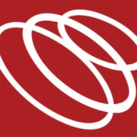 Saxon Loomis Consulting Group logo - Similar company to Savi Engineering