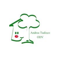 Associazione Andrea Tudisco ODV logo - Similar company to Baker Tilly Italy