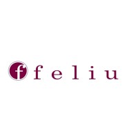 Feliu N&I-Consultoría en internacionalización logo - Similar company to Atechbcn Sl