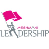 Meghmani Llp