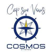 COSMOS Synergie logo - Similar company to Violette Digitale