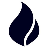 Visibilidade Executiva logo - Similar company to Empregasaúde