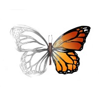 Le Petit Manifeste De La Grande Transformation