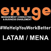 EXYGE.COM logo - Similar company to E-Consulting Global Solutions