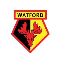 Watford FC Women logo - Similar company to La Analysis