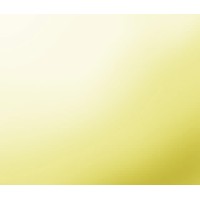 Lauren Silva Group, Inc.