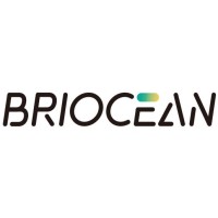 Briocean logo - Similar company to Cytech Systems Limited