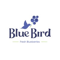 Blue Bird Berries