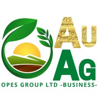 Opes Group Ltd logo - Similar company to Trilateral, Inc.
