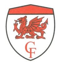 CAMBRIAN FOUNDRY NEWTOWN LIMITED logo - Similar company to Faber Technology Ltd