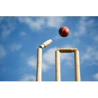 Talking Cricket logo - Similar company to Anisha Transformers Private Limited