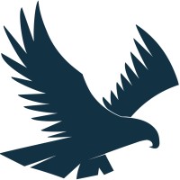 Falcon Electric Aviation logo - Similar company to Team Better/E