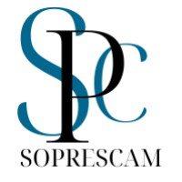 SOPRESCAM SARL logo - Similar company to Soprescom Sarl, L'Informatique Professionnelle