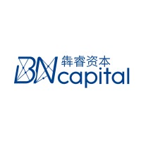 BN Capital logo - Similar company to Pse Trading