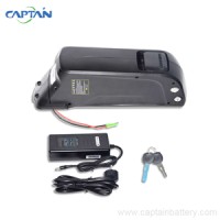 Dolphin type 36v 48v ebike lithium battery for electric bicycle/motorcycle logo - Similar company to Newilling Lithium Battery