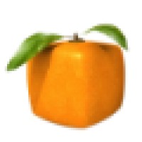 Net Tangerine, Inc. logo - Similar company to Sm Data Technologies