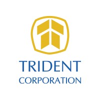 Trident Microsoft logo - Similar company to Trident Corporation Pvt Ltd.