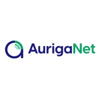 Auriganet Digital Technologies Pvt Ltd logo - Similar company to Jeebr Internet Services