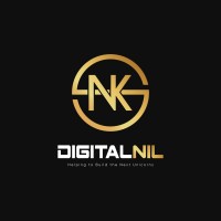 DigitalNil logo - Similar company to Kiddofin