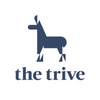 The Trive inc,더트라이브 logo - Similar company to Team Learners