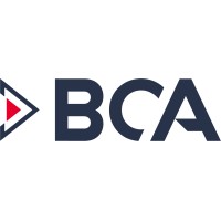 BCA Industrial Partners, LLC logo - Similar company to 54D
