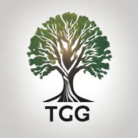 Tupelo Consulting Group logo - Similar company to Sitara-O-Hilal Foundation