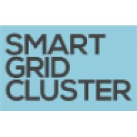 Smart Grid Cluster