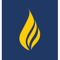 MEDAMETHEUS LLC logo - Similar company to Global Knowledge Network
