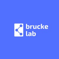 brucke labs logo - Similar company to Rayd8