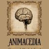 Animacedia logo - Similar company to Dialog'On