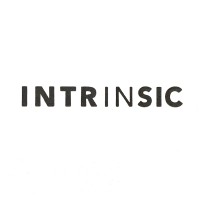 Intrinsic Business Management logo - Similar company to Summit Point Consulting