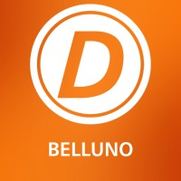 DURING Spa Belluno - Feltre logo - Similar company to Fablab Belluno