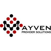 Mayven Provider Solutions logo - Similar company to Werner Law