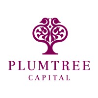 Plumtree Capital Limited logo - Similar company to Abantu Impact Foundation