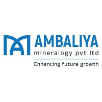 Ambaliya Mineralogy Pvt Ltd logo - Similar company to Iew Industries