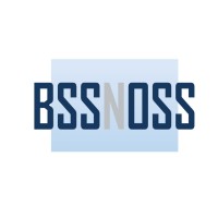 BSSNOSS logo - Similar company to Bssn