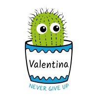Valentina Foundation logo - Similar company to Collision Engineers Ltd