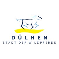 Stadt Dülmen logo - Similar company to Stadt Coesfeld