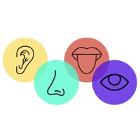ARU Special Senses Society logo - Similar company to Anatome Education Cic