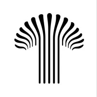 Mycel Digital logo - Similar company to Gfd Cinema