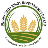 Bugiri Crop Kings Investments (u) Ltd logo - Similar company to Cuibono?