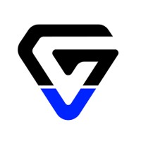 GoView logo - Similar company to Silverline Security