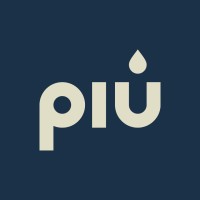 Piu logo - Similar company to Lockdowel