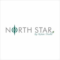 NORTH STAR KD logo - Similar company to Backupplan