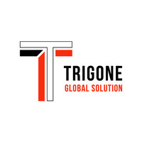 Trigone Global Solution logo - Similar company to Unizio Interactive