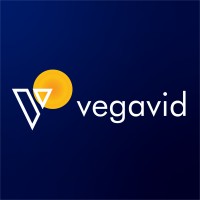 Vegavid Technology logo - Similar company to Xelogic Solutions