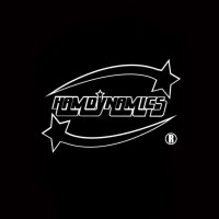 HAMDYNAMICS logo - Similar company to Mastermind Software Engineering