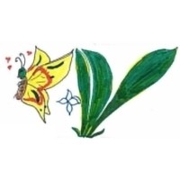 Counseling Service in Tokyo: Tokyo Meguro Counseling Center　カウンセリング　東京 logo - Similar company to Koyamada International Foundation