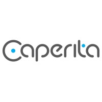 Caperita GmbH logo - Similar company to Top Tier Solutions